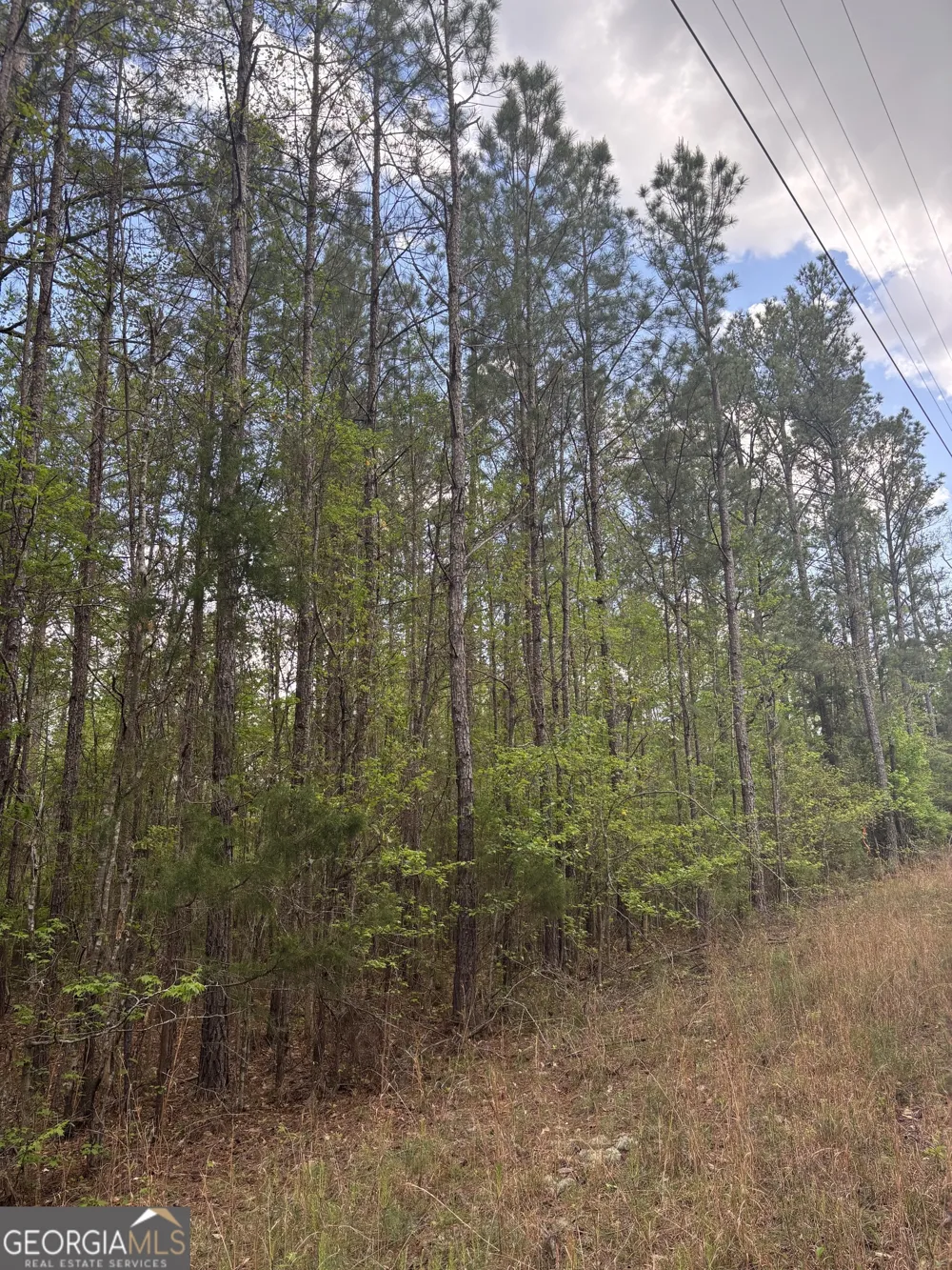 0 Valley Rescue Mission RD Hamilton, GA 31811