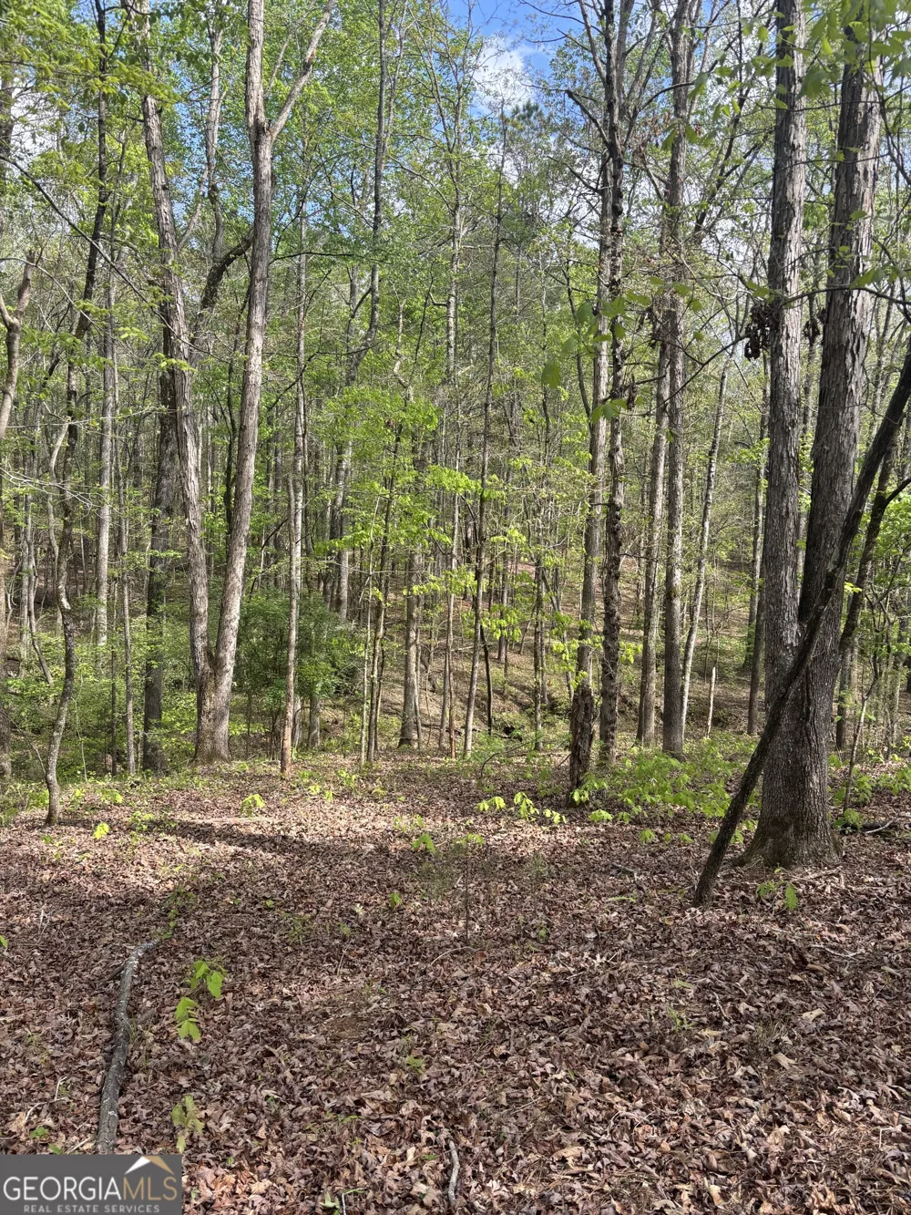 0 Valley Rescue Mission RD Hamilton, GA 31811