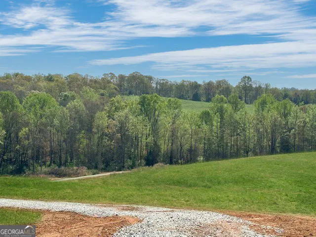 0 Gooseneck RD Eastanollee, GA 30538