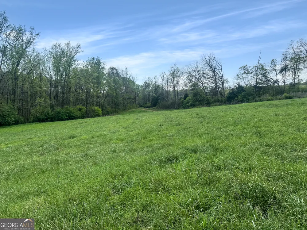 0 Gooseneck RD Eastanollee, GA 30538