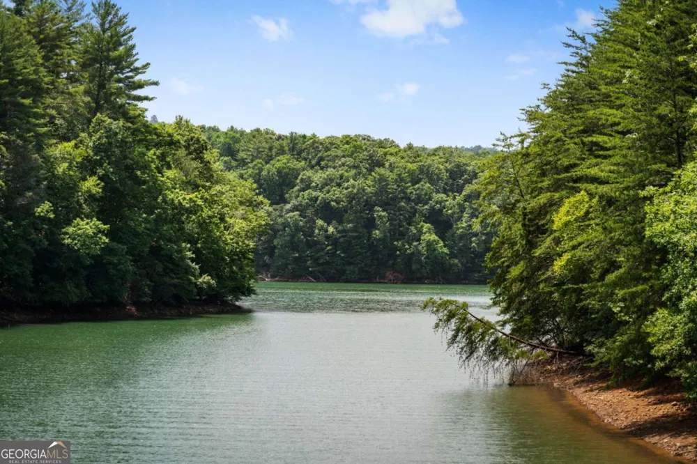 355 Old Camp LOOP Morganton, GA 30560