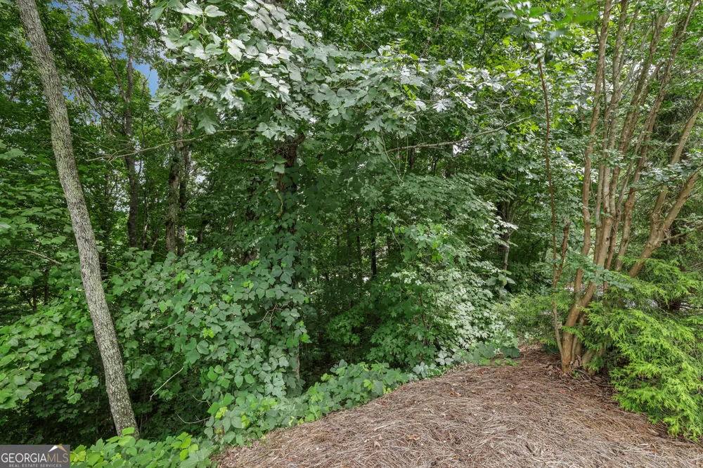 LOT G1 Waterfall DR Clayton, GA 30525