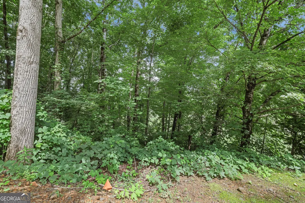 LOT G1 Waterfall DR Clayton, GA 30525
