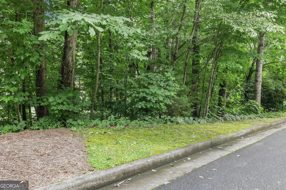 LOT G1 Waterfall DR Clayton, GA 30525