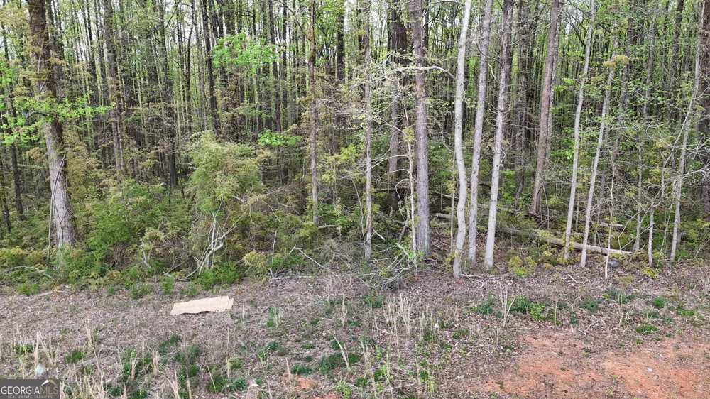 0 Burruss Mill RD Cumming, GA 30041