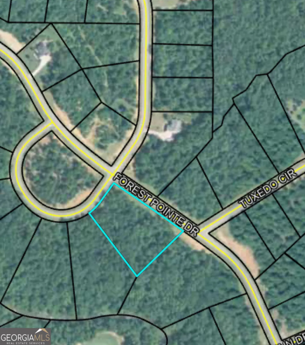 207 Forest Pointe DR Forsyth, GA 31029