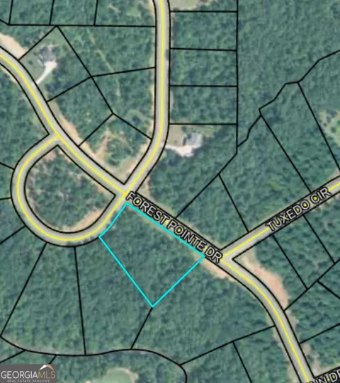 207 Forest Pointe DR