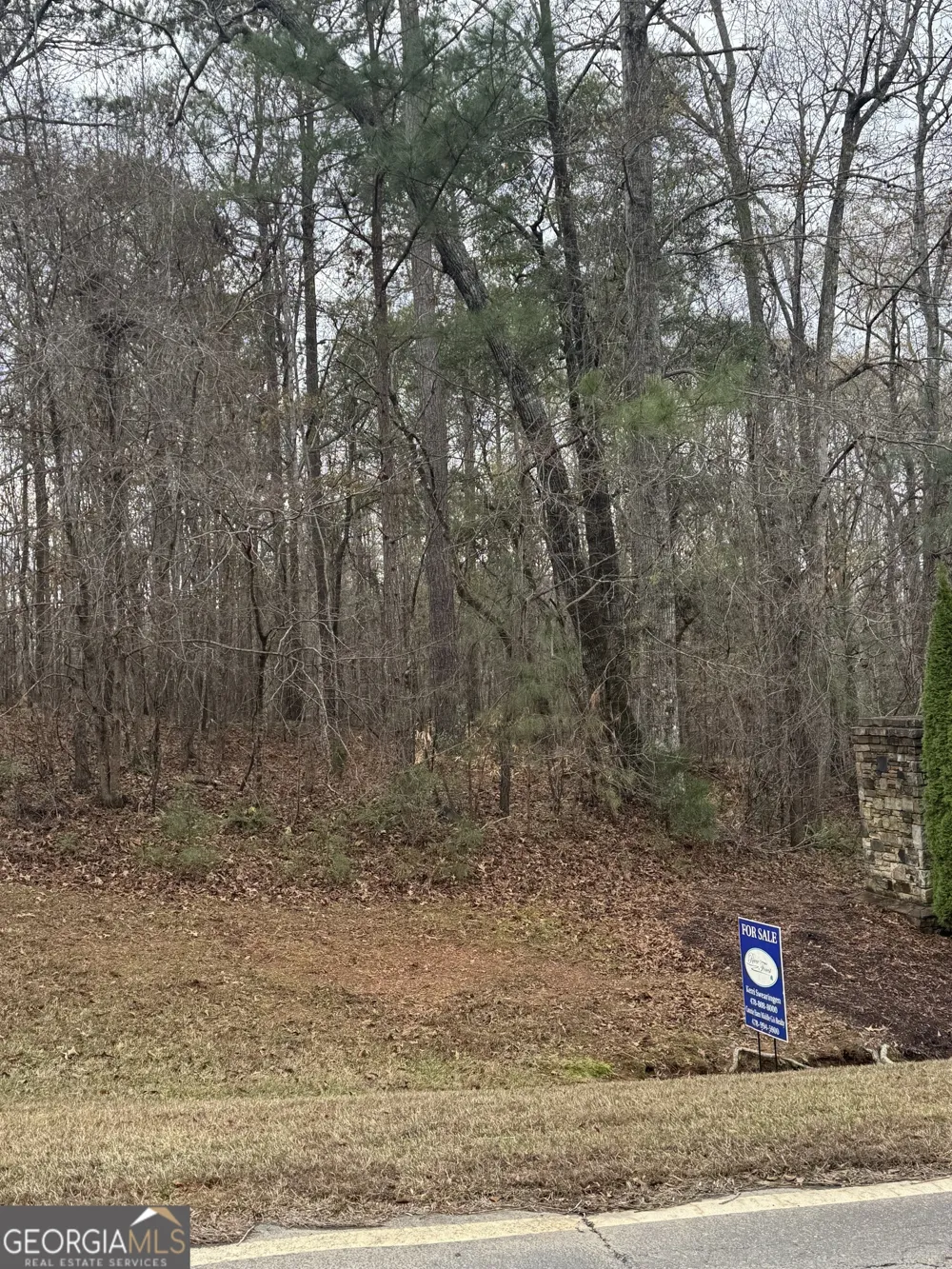 207 Forest Pointe DR Forsyth, GA 31029