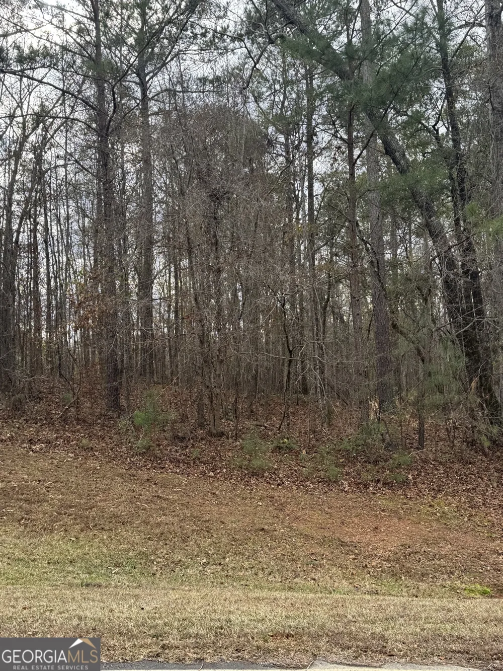 207 Forest Pointe DR Forsyth, GA 31029