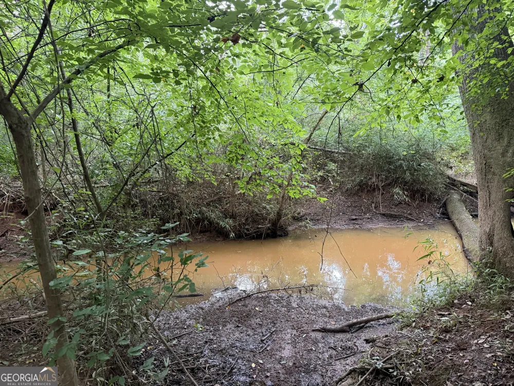 49.2 ACRES Jordon RD Waverly Hall, GA 31831