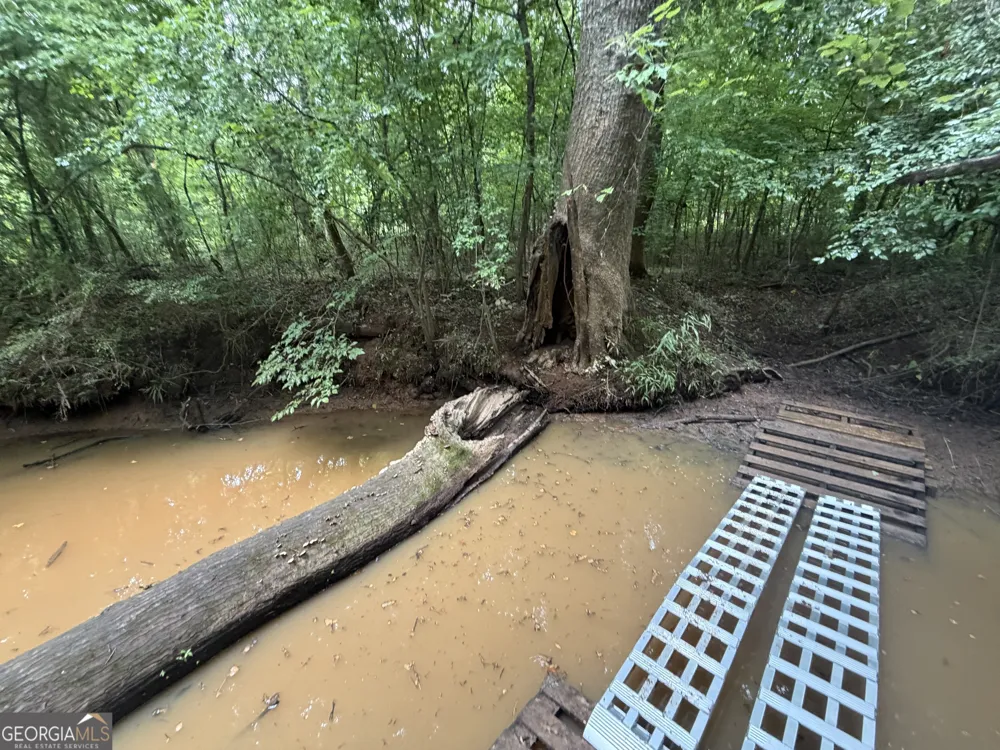 49.2 ACRES Jordon RD Waverly Hall, GA 31831