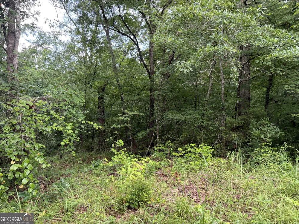 49.2 ACRES Jordon RD Waverly Hall, GA 31831
