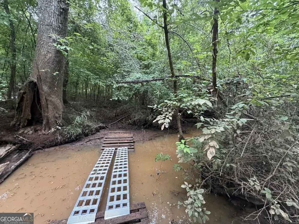 49.2 ACRES Jordon RD Waverly Hall, GA 31831