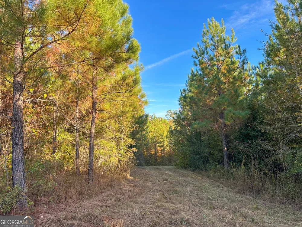 49.2 ACRES Jordon RD Waverly Hall, GA 31831