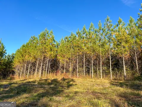 49.2 ACRES Jordon RD