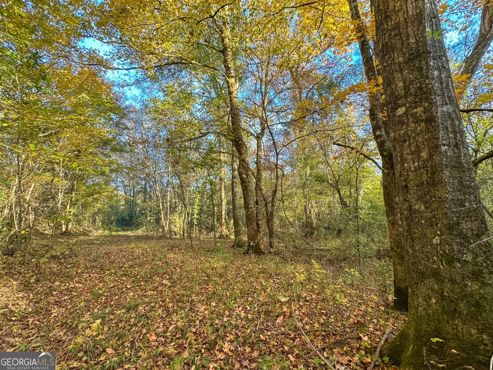 49.2 ACRES Jordon RD Waverly Hall, GA 31831