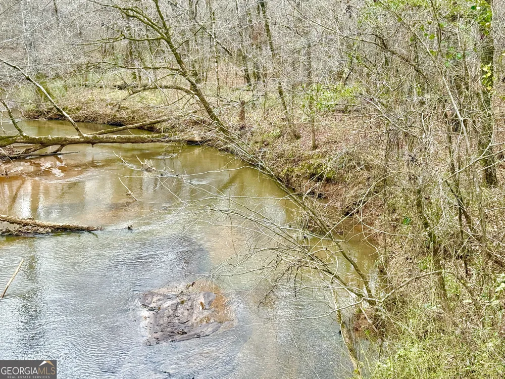 49.2 ACRES Jordon RD Waverly Hall, GA 31831