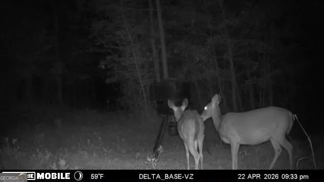 49.2 ACRES Jordon RD Waverly Hall, GA 31831