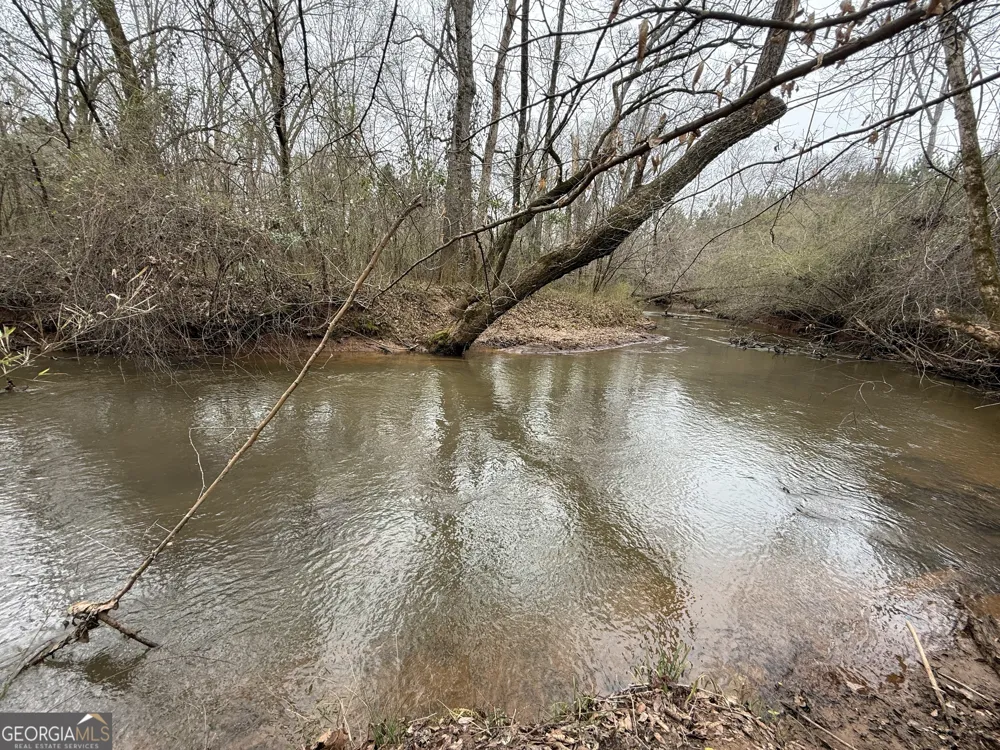 49.2 ACRES Jordon RD Waverly Hall, GA 31831