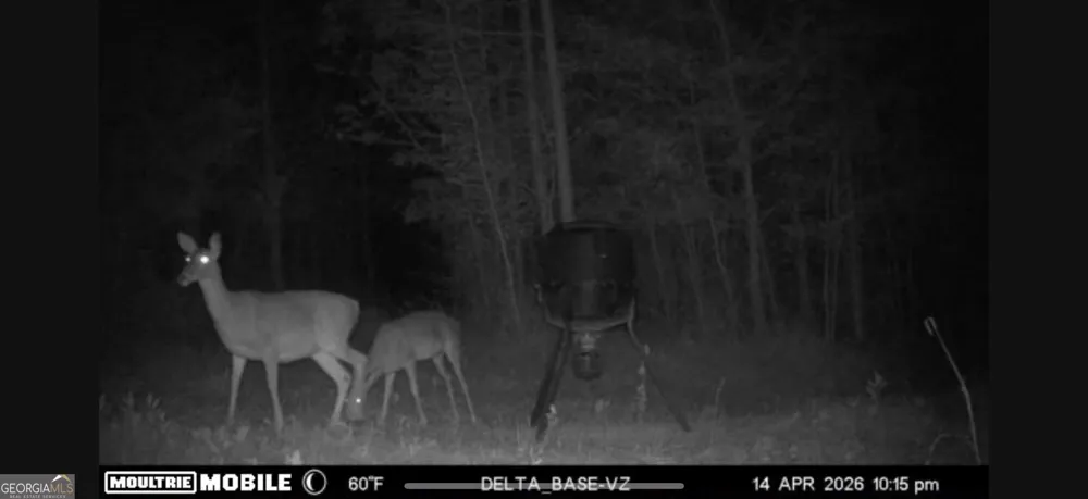 49.2 ACRES Jordon RD Waverly Hall, GA 31831