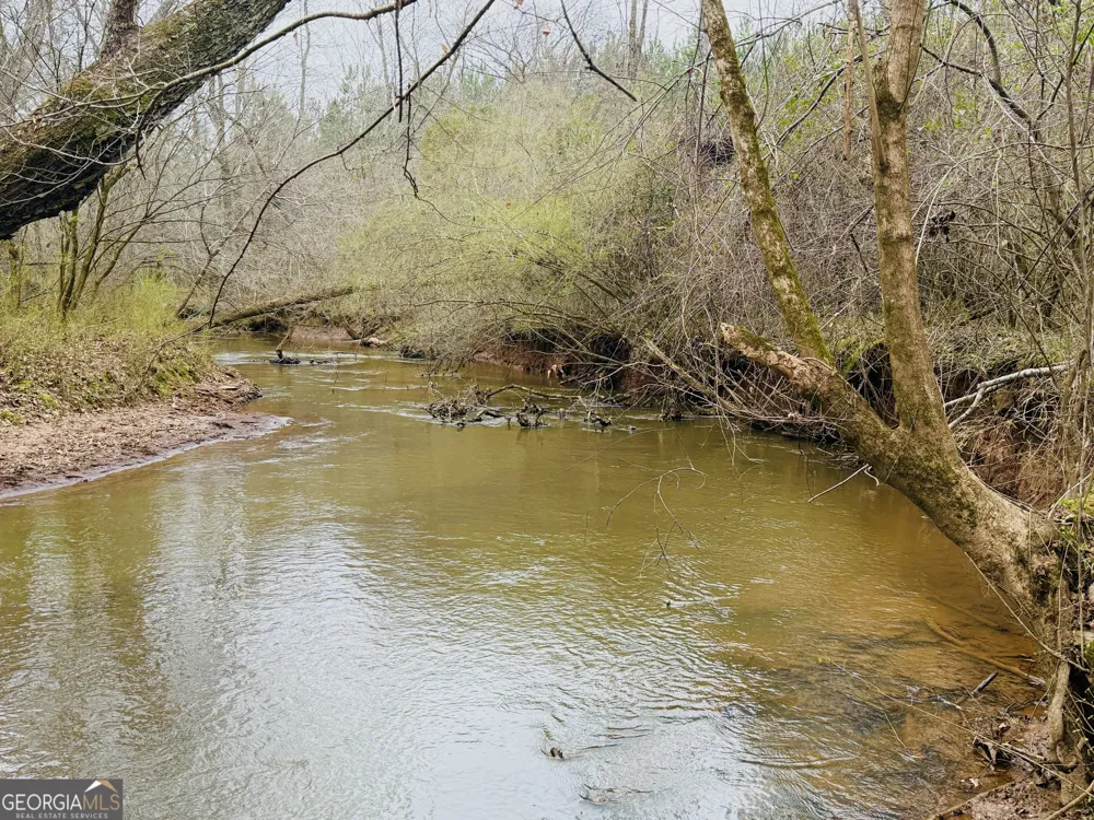 49.2 ACRES Jordon RD Waverly Hall, GA 31831