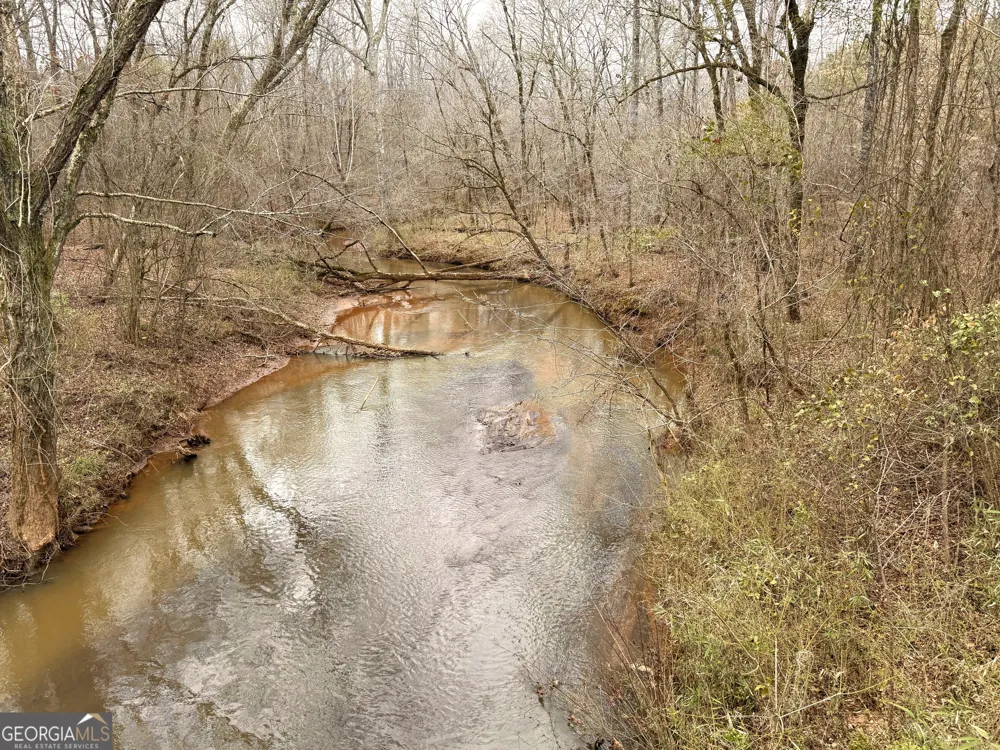 49.2 ACRES Jordon RD Waverly Hall, GA 31831