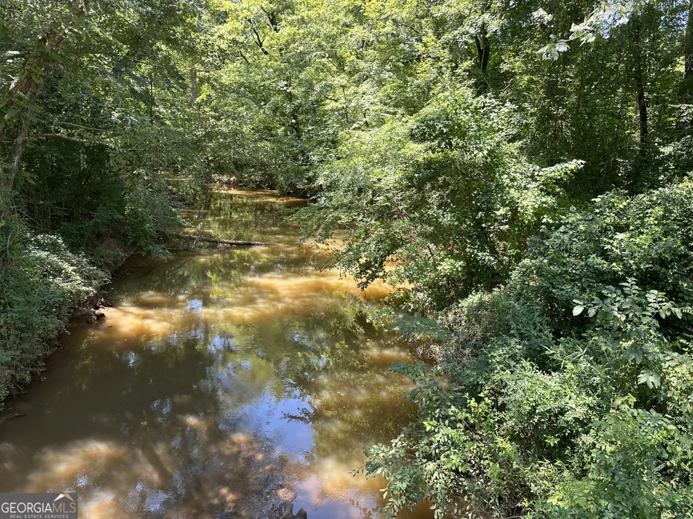 49.2 ACRES Jordon RD Waverly Hall, GA 31831