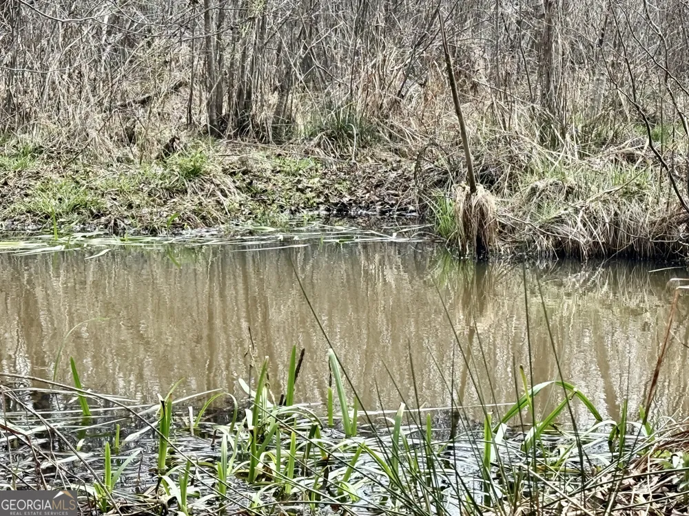 49.2 ACRES Jordon RD Waverly Hall, GA 31831