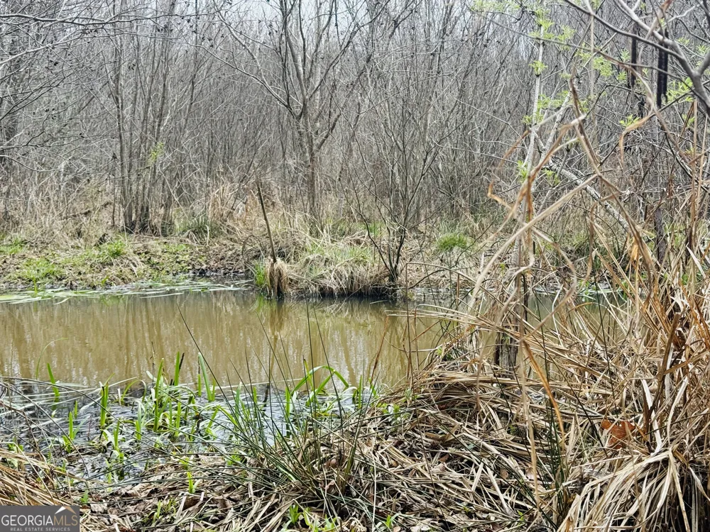 49.2 ACRES Jordon RD Waverly Hall, GA 31831