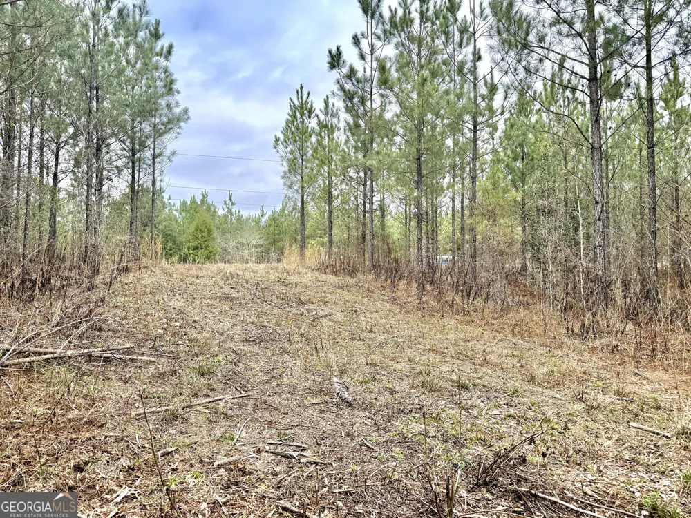 49.2 ACRES Jordon RD Waverly Hall, GA 31831