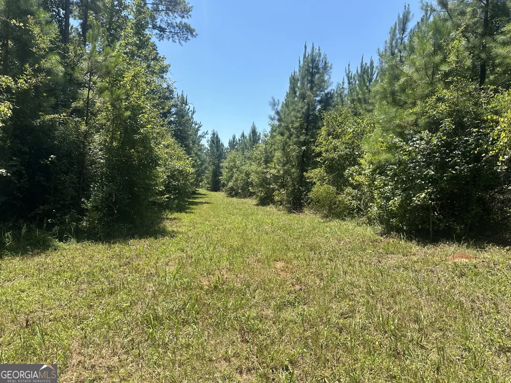 49.2 ACRES Jordon RD Waverly Hall, GA 31831