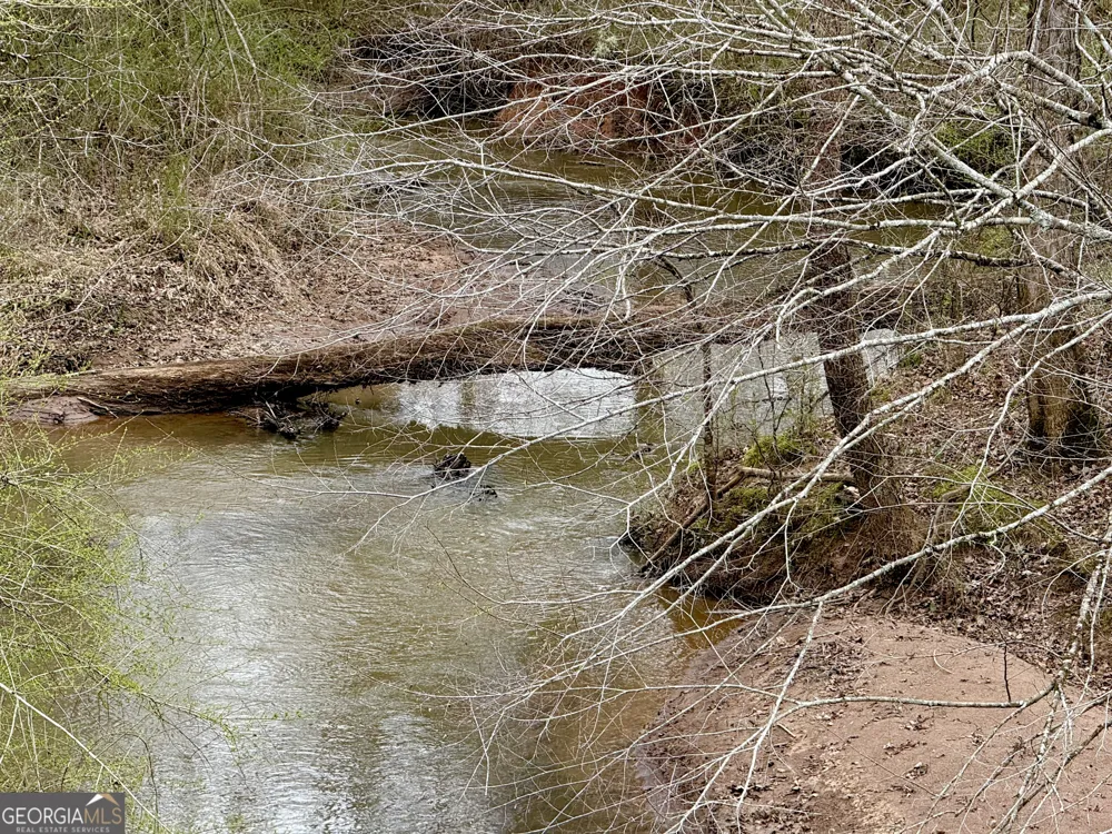 49.2 ACRES Jordon RD Waverly Hall, GA 31831
