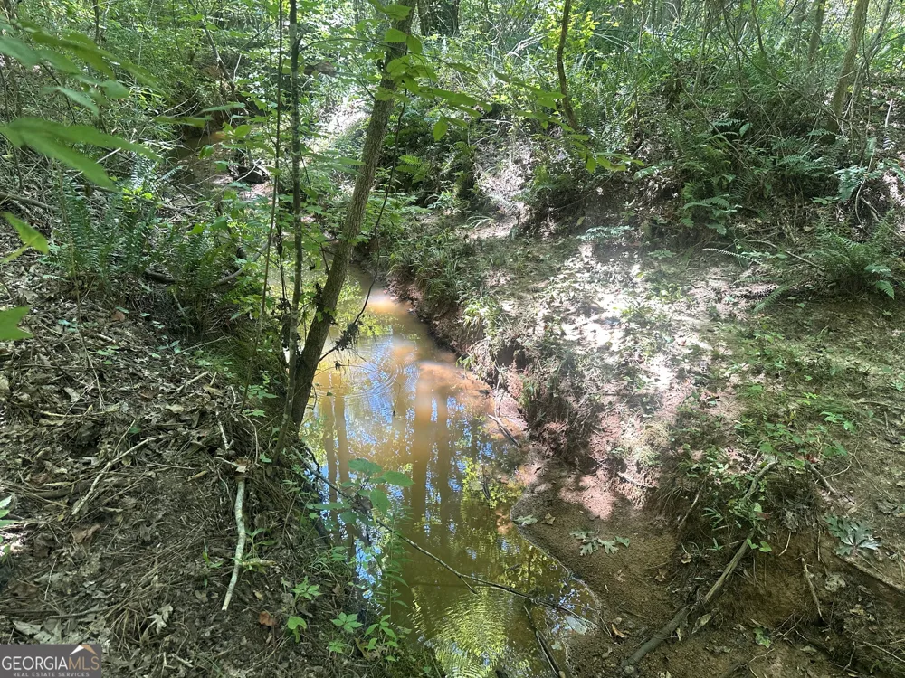 49.2 ACRES Jordon RD Waverly Hall, GA 31831