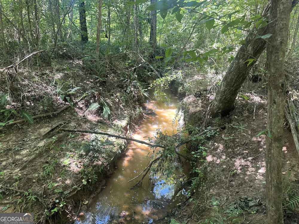 49.2 ACRES Jordon RD Waverly Hall, GA 31831