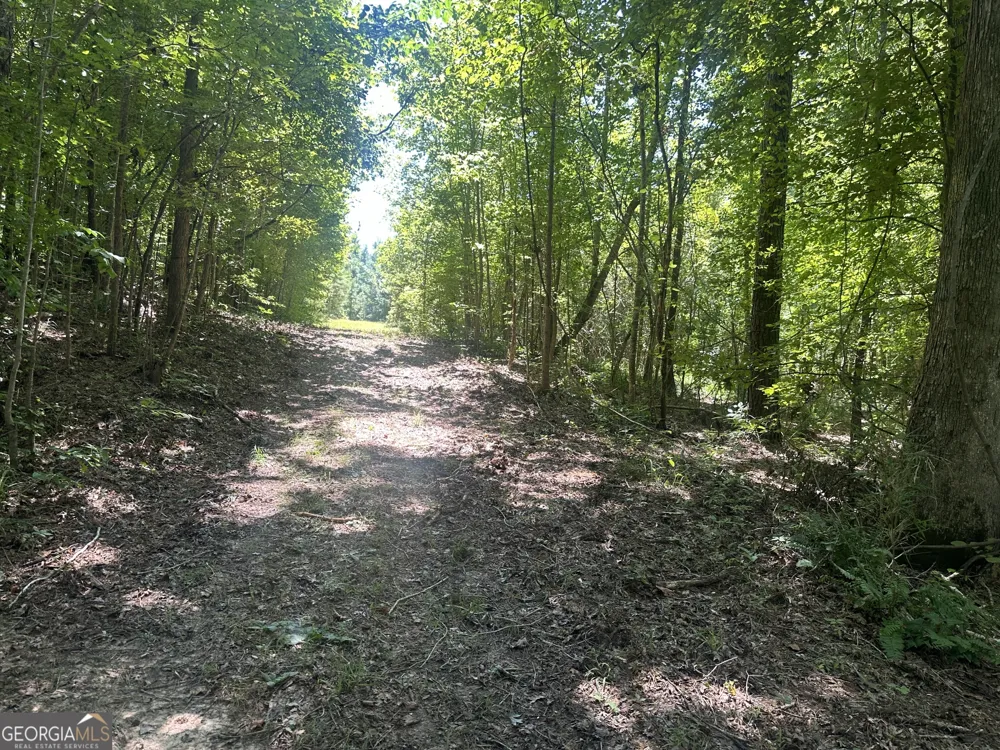 49.2 ACRES Jordon RD Waverly Hall, GA 31831
