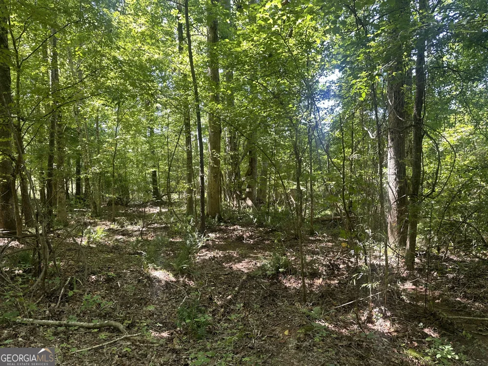 49.2 ACRES Jordon RD Waverly Hall, GA 31831