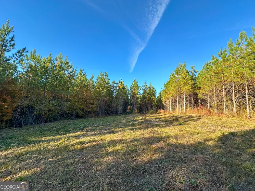 49.2 ACRES Jordon RD Waverly Hall, GA 31831