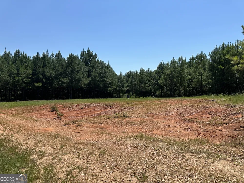 49.2 ACRES Jordon RD Waverly Hall, GA 31831