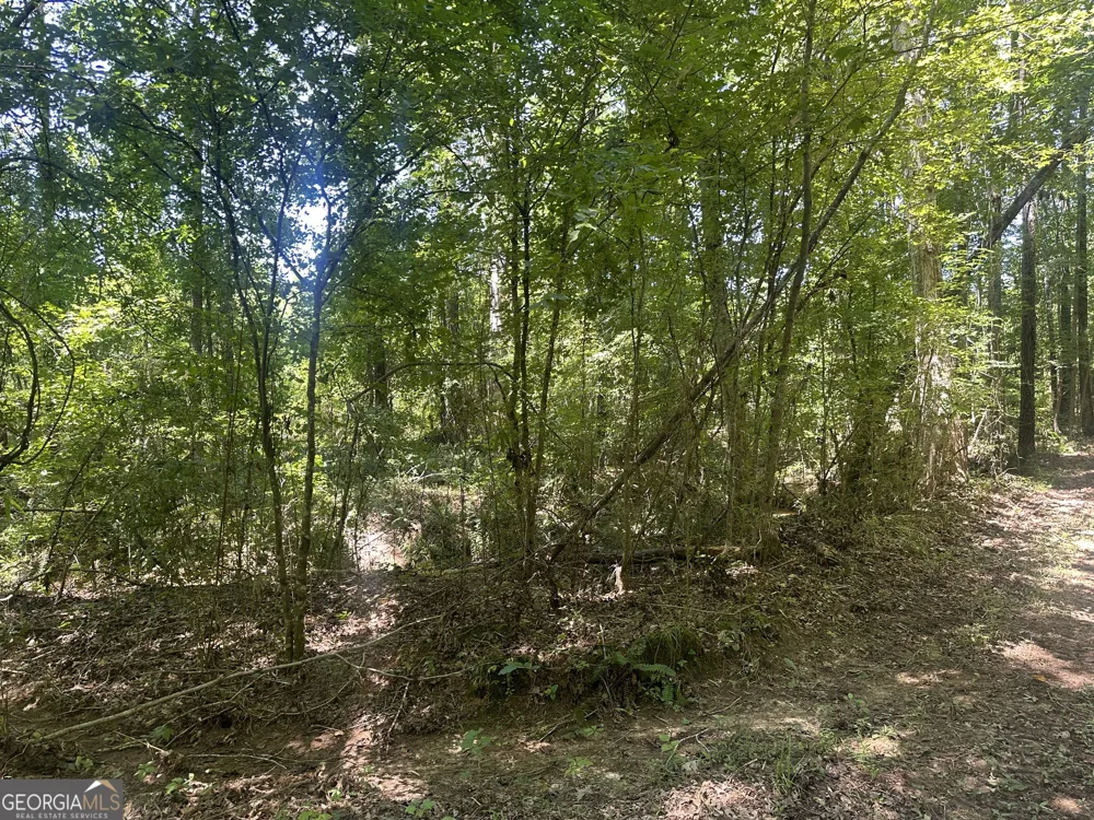 49.2 ACRES Jordon RD Waverly Hall, GA 31831