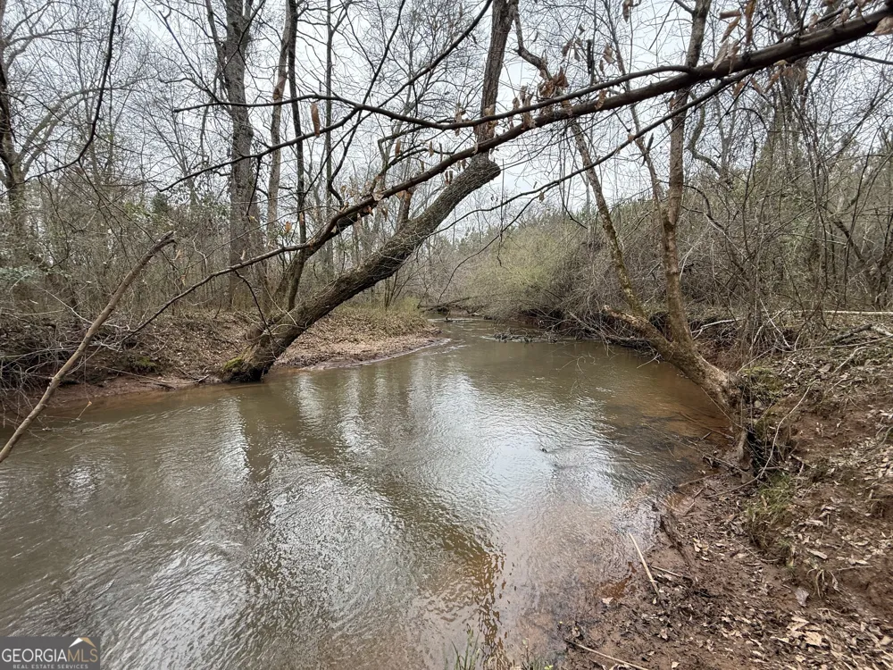 49.2 ACRES Jordon RD Waverly Hall, GA 31831