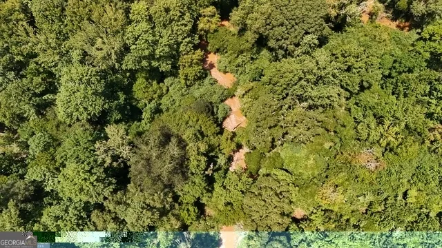 49.2 ACRES Jordon RD Waverly Hall, GA 31831