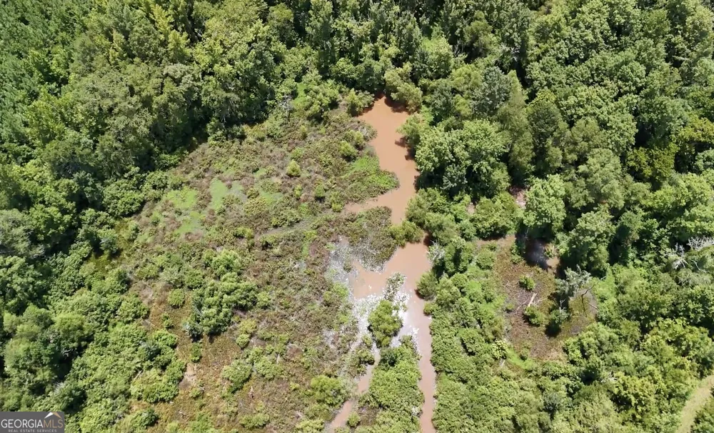 49.2 ACRES Jordon RD Waverly Hall, GA 31831