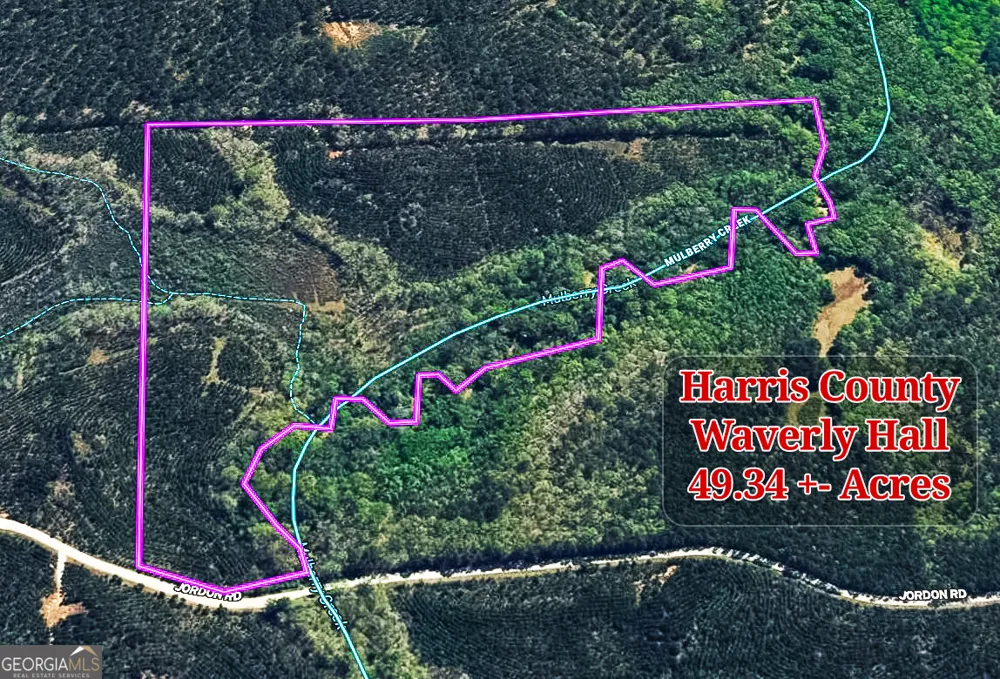 49.2 ACRES Jordon RD Waverly Hall, GA 31831