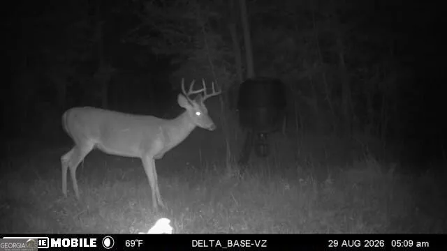 49.2 ACRES Jordon RD Waverly Hall, GA 31831