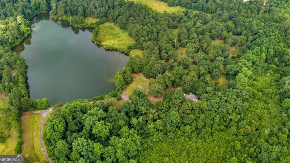 1060 COOKS MILL Road Oglethorpe, GA 31068