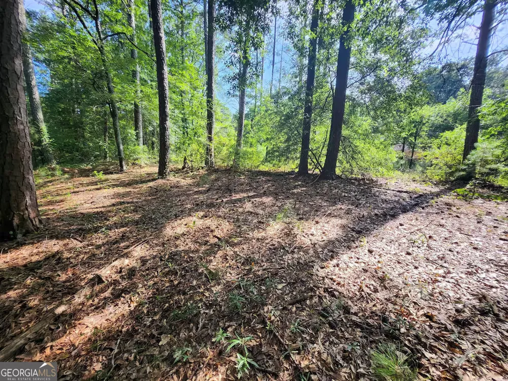 6765 Virlyn B Smith RD Fairburn, GA 30213