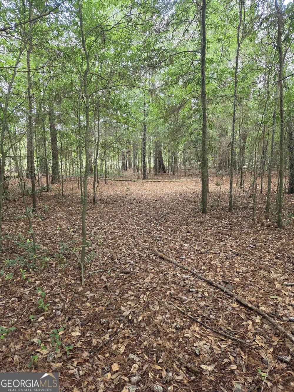 0 Fairway Lane Hawkinsville, GA 31036