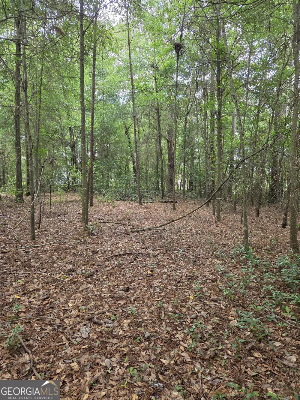 0 Fairway Lane Hawkinsville, GA 31036