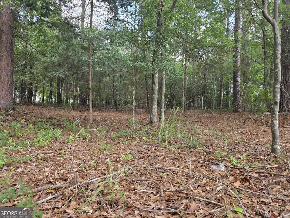 0 Fairway Lane Hawkinsville, GA 31036