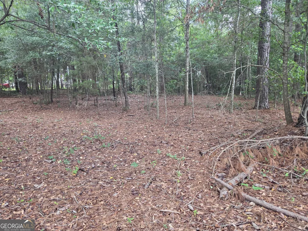 0 Fairway Lane Hawkinsville, GA 31036